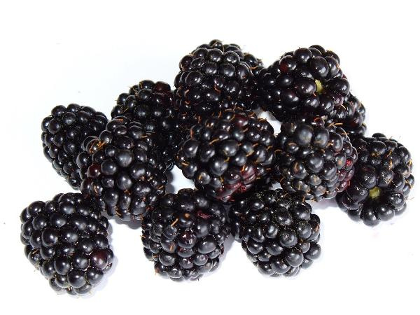 Produktfoto zu Brombeeren 125g