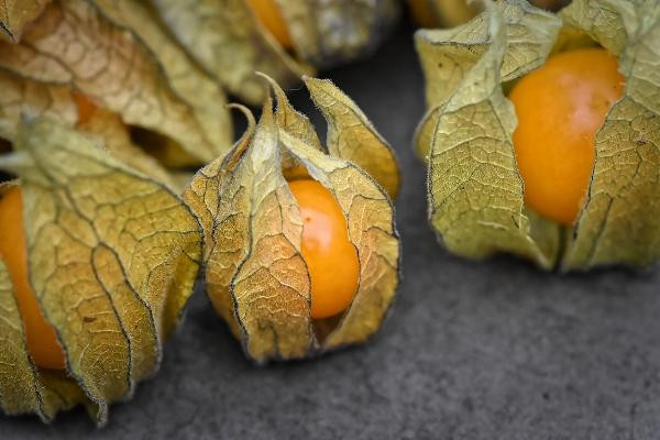 Produktfoto zu Physalis 100g