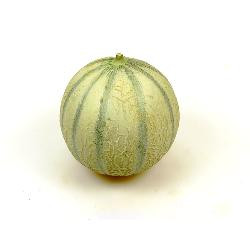 Produktfoto zu Melonen, Cantalupe