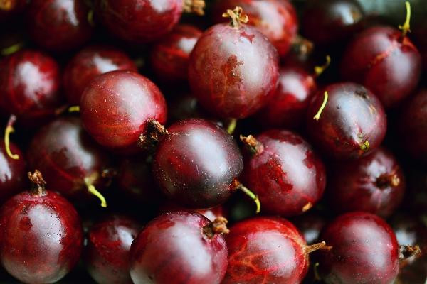 Produktfoto zu Stachelbeeren rot 500g